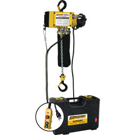 1/4 Ton Electric Chain Hoist 20' Lift 12.5 FPM 110V