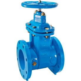 Cast Iron Gate Valve 3 in FLG 0700104