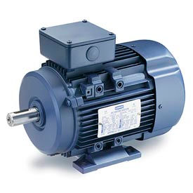 IEC Metric Motor 25HP, 230/460V, 1775/1470RPM, IP55, B3, 1.15 SF, 92.4 Eff.