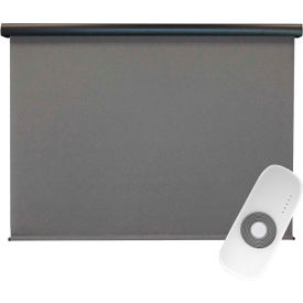 Regal Rechargeable Motorized Outdoor Sun Shade W/Protective Valance, 10 X 8 - Elder