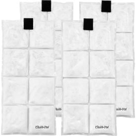 Chill-Its 6250 Lightweight Phase Change Cooling Packs, Set of 4, Clear