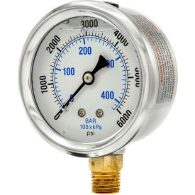2-1/2" Vacuum Gauge, Liquid Filled, 6000 PSI, Stainless Case, Lower Mount