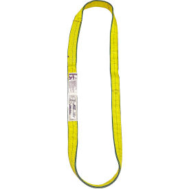 Lift America 2" X 12' 2PLY Polyester EdgeGuard Flat Web Sling Endless, Type V