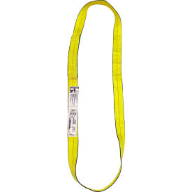 2" X 2' 1PLY Polyster EdgeGuard Flat Web Sling Endless Type V EN1-902 X 2