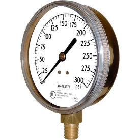 Pressure Gauge, 1/4" NPT, 0/300 PSI, Lower Mount