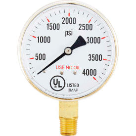 2.5" Pressure Gauge, 1/4" NPT, Dry, 0/4000 PSI, Lower Mount