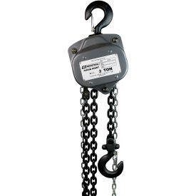 Industrial Manual Chain Hoist, 1 Ton Capacity 30' Lift