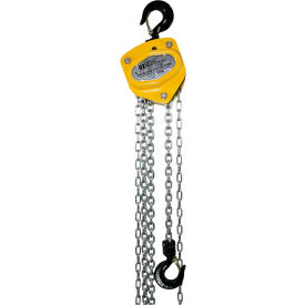 Manual Chain Hoist w/ Overload Protection, 1 Ton Capacity 30' Lift