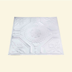 2' X 2' Lay-in Tin Ceiling Tile in Matte White