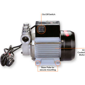 Continuous Duty Electric Fuel Pump, 115V AC Motor, 60HZ, 1-Inch NPT