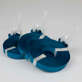 Pre Cut Strapping w/Plastic Buckle, 1/2"W x 17'L, Blue, 500 Straps/Pack