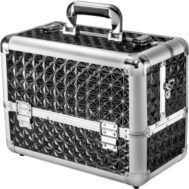 Cosmetic Case CC-200, Aluminum, Black, 15"L x 12"W x 9"H