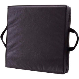 Deluxe Seat Lift Seat Riser Cushion Pillow, 16" x 16" x 4", Black