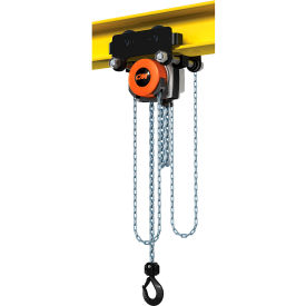Hurricane 360° Hoist & Trolley Combo 2 Ton Capacity, 15' Lift