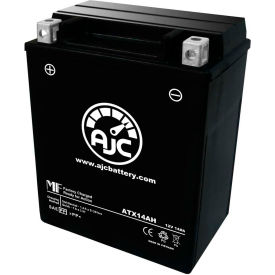 Powersports Battery, 14 Amps, 12V, B Terminals