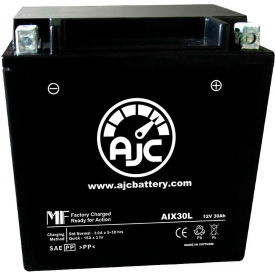 30 Amps, 12V, B Terminals