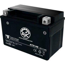 Chrome Battery YTZ14S-BS Battery, 11.2 Amps, 12V, B Terminals