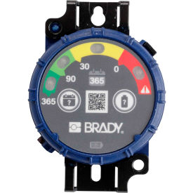 150744 Inspection Timer, 365 Day, 10 Pack, LED Lights, ABS Plastic, Blue
