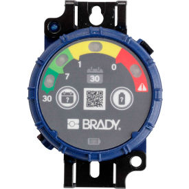 150741 Inspection Timer, 30 Day, 10 Pack, LED Lights, ABS Plastic, Blue