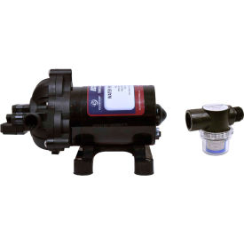 EccoFlo Triplex Diaphragm 12V Water Pump and Strainer - ECP12V