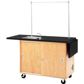 Mobile Science Workstation 48"L x 24"W - Plastic Laminate Top