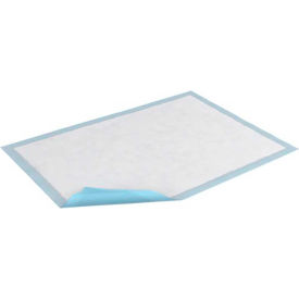 Extra Underpads, 17" x 24", Blue, 300/Case