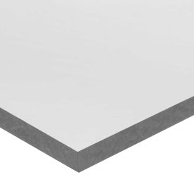 1/4" Thick x 1" Wide x 12" Long