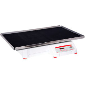 Heavy Duty Orbital Shaker, Digital, 120V