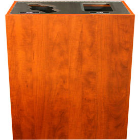 Busch Systems Aristata Double Recycling & Trash Can, 30 Gallon
