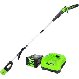 80V Pro Series 10" Pole Saw Kit W/ 2.0Ah Battery & Charger