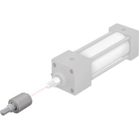 in. Male NPT x 1-1/4 in. Male NPT - 50150N-20-20