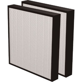True HEPA Filters, 2/Pack
