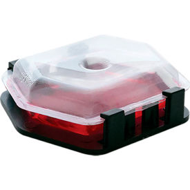 Commercial Fruit Fly Traps 12-Pack With 3 Holders
