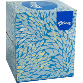 Facial Tissue in Boutique Pop-Up Box, 95 Tissues/Box, 36 Boxes/Case