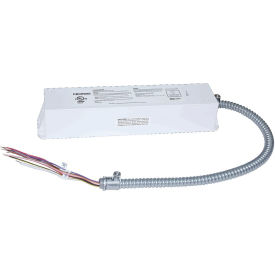 25-Watt LED Battery Pack, 90 Min of Full Lumen Output, Damp Location, 120/277V