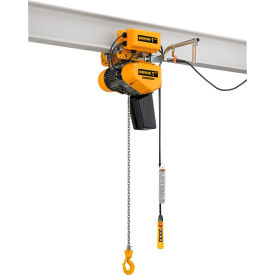 Electric Hoist, 250 Lb. Cap.,VFD Control, 1Ph, Dual Speed, 20' Lift W/ Motorized Trolley