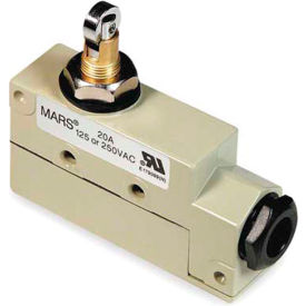 Combination Roller/Plunger Door Limit Switch Single Phase 20 Amps
