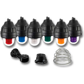 Explosion-Proof Strobe Light - 120VAC Clear, Mounting Kit Separate