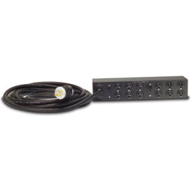 Rack PDU Extender, Basic, 2U, 30A, 120V, (12)5-20