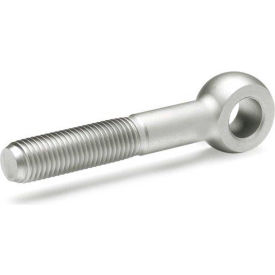 DIN 444 Swing Bolts, Stainless Steel, Matte, M10, 2"L, 3/8" I.D., 13/16" O.D.