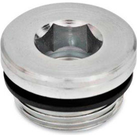 J.W. Winco Threaded Pipe Plugs, Steel, Zinc Plated, w/ NBR Synthetic Rubber Seal, M 10 x 1