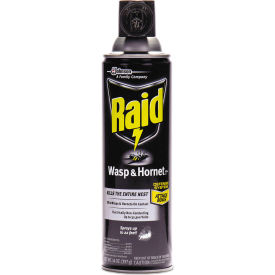 Wasp and Hornet Killer, 14 oz. Aerosol Can