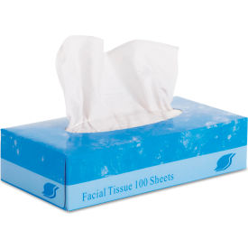 Facial Tissue, 2-Ply, White, Flat Box, 100 Sheets/Box, 30 Boxes/Case