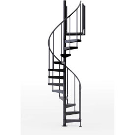 36"H Platform 2 Rails Spiral Stair Kit, 42"Dia, 12-5/6'H, Black
