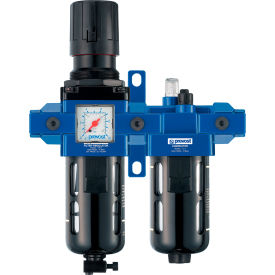 1/2" FNPT 2pc FRL