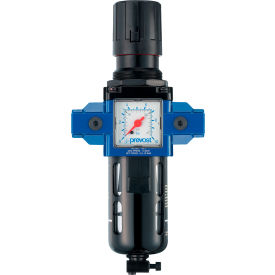 3/8" FNPT Filter-Regulator