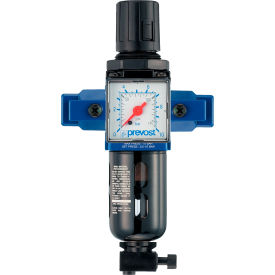 1/4" FNPT Filter-Regulator