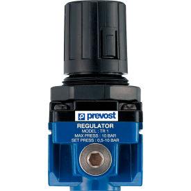1/4" FNPT Regulator