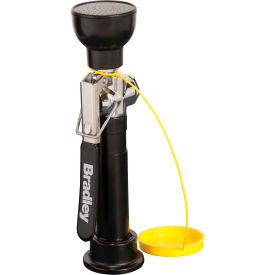 Deck-Mounted Hand-Held Hose Spray - S19-460