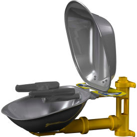 Eye-Face Wash, Stainless Steel Bowl with Dust Cover
